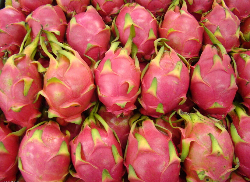 吃火龙果拉红尿-吃紫色的火龙果,尿会带红色的