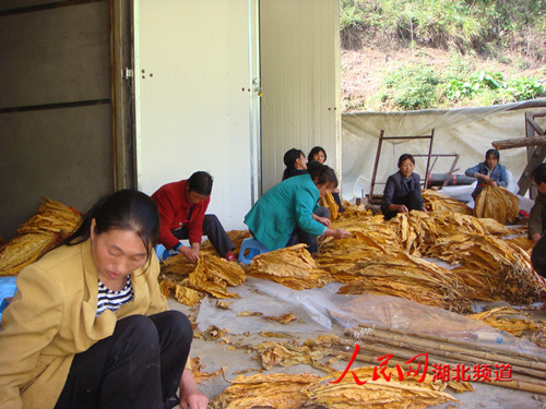 农村妇女在家怎么挣钱?-我是个农村妇女我想问