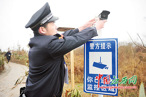 图片版权归原作者所有