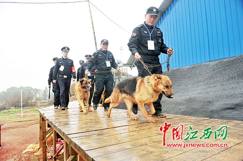 图片版权归原作者所有