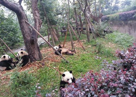 天津光合谷旅游度假区