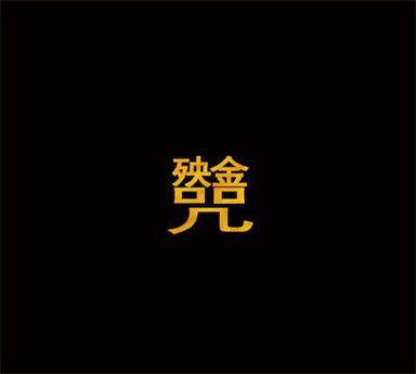 窦唯《殃金咒》