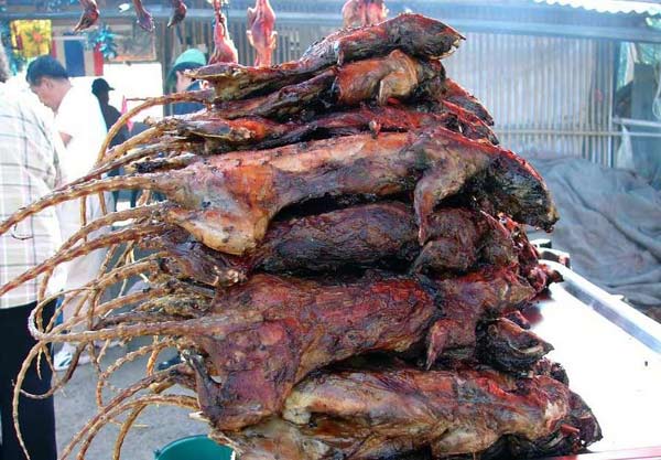 残忍:老鼠没开肠破肚就被烤着吃(图) (6/7)