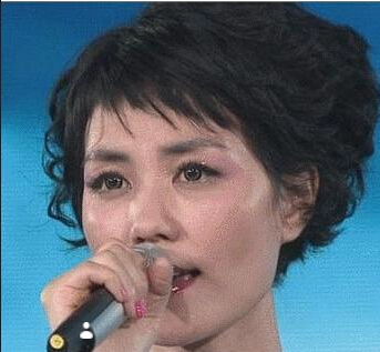 春晚舞台上的流行元素 费翔大背头王菲戴美