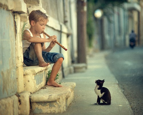 禅宗故事:只修得一颗柔软心