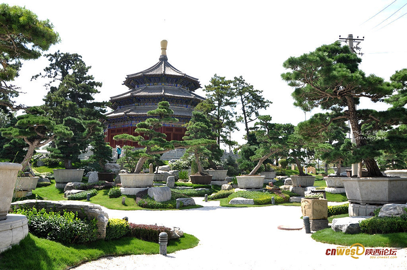 陕西最有唐诗意境的景区 中国唐苑