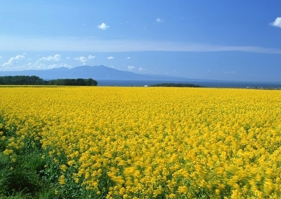踏青游多起游客投诉 陕西省旅游局发布旅游提