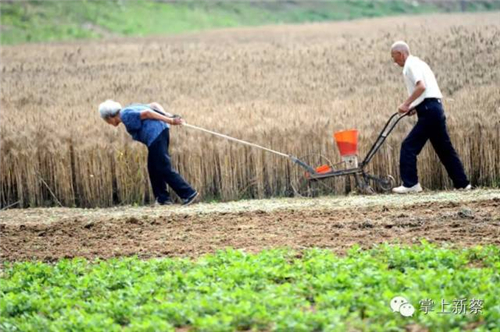 19位摄影师用镜头记录美丽新蔡_河南频道_凤