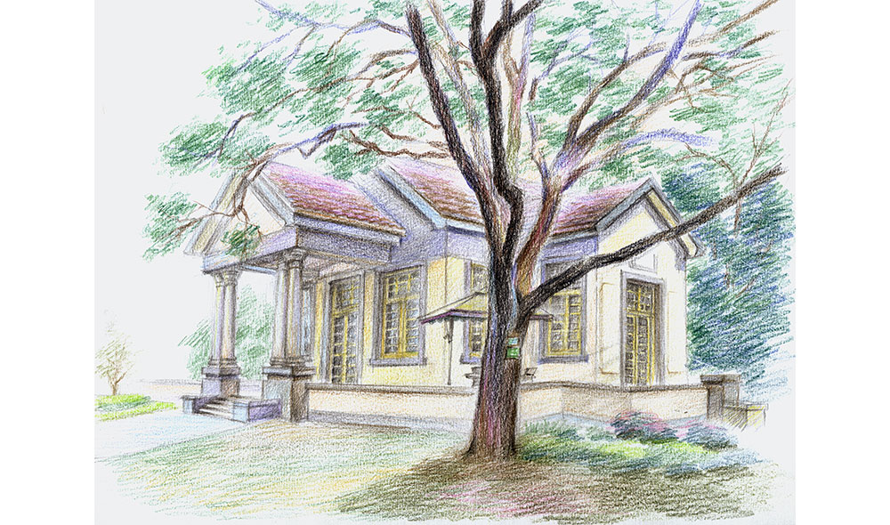 蔡震:梧桐树下 老记画南京_凤凰江苏