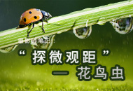 Ӱʦʼ--̬΢
