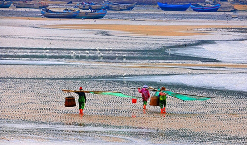 中国最美的滩涂 福建霞浦_厦门频道_凤凰网