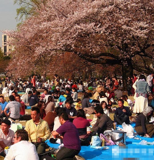 日本出生人口_日本人口老龄化加剧,去年出生人口跌破百万(2)