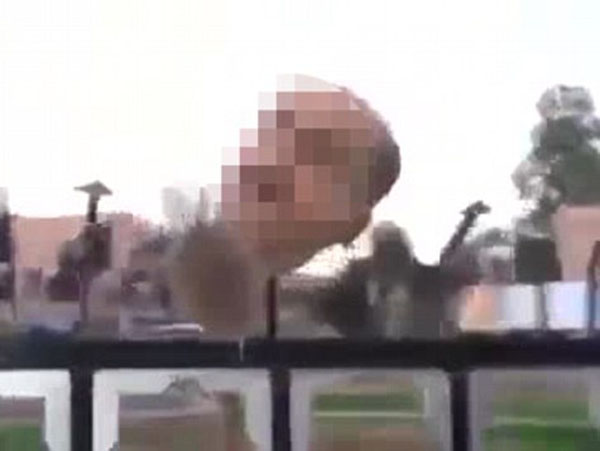 极端组织斩首叙政府军士兵 头颅被挂尖桩示众