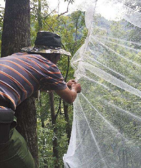 拒絕帶血的山核桃 臨安推出新改革等&ldquo;錢&rdquo;落地