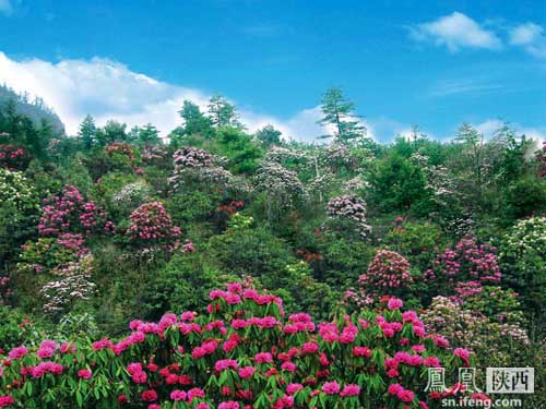 非常茨沟 徒步木王的花花世界