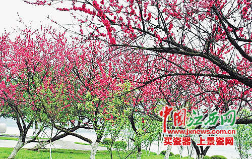 春天来了 再不户外撒欢就晚了(图)_江西频道_凤凰网