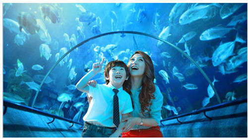 爸爸去哪儿?“六一”就去大连圣亚海洋世界探秘_黑龙江频道_凤凰网