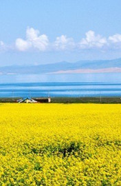 青海湖：一路向北，圆梦壮阔的爱之旅途