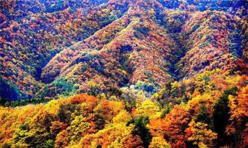 秋意撩人细数10月中国最美的十个地方