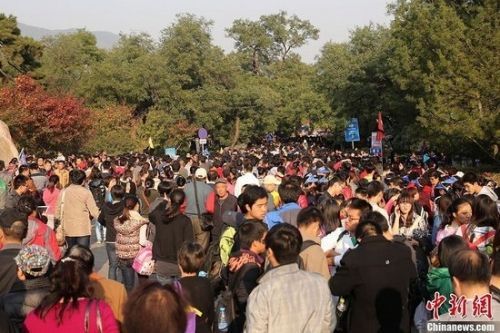 北京20万人争赏香山红叶 网友称游客比红叶多