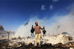 《时代》评选2013年最令人惊奇照片