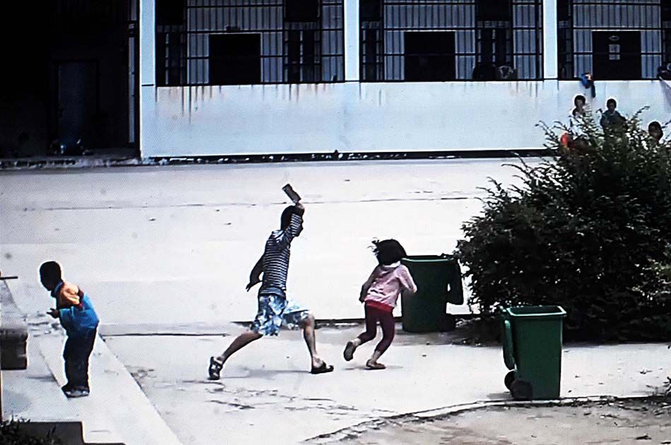 湖北麻城一男子闯入学校砍伤8名小学生-中国学