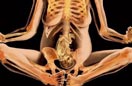 孕妇和人体X射线艺术照