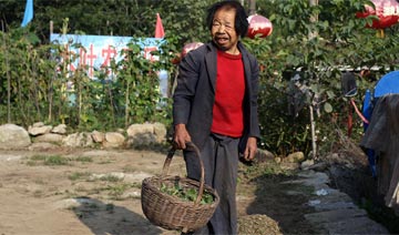 终南山上的人