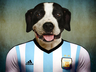 世界名犬披各国世界杯球衣告诉你什么叫做足球