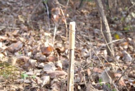 私设电网电死人后抛尸 蔡甸一村民一审获刑5年