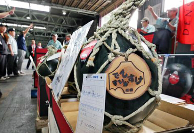 日本北海道拍卖天价西瓜 一个卖35万日元