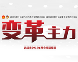 2015年武汉市两会：变革主力