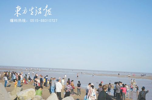 盐城 新闻资讯 > 正文   国庆长假期间,到东台条子泥海边看海的游客
