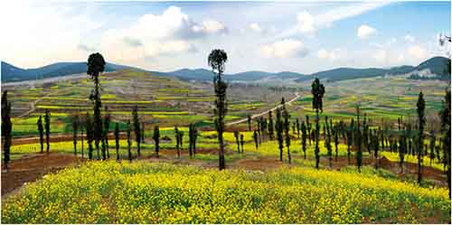  吕梁 山 风景 区