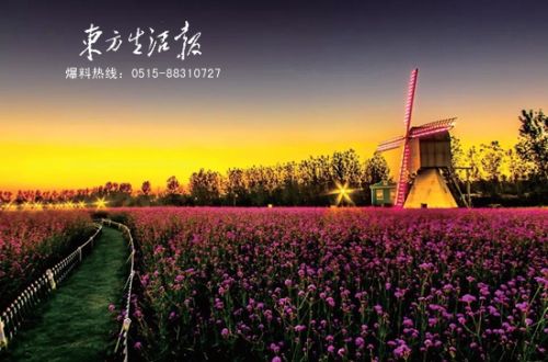 冬日花海--麋鹿之乡的异域风情