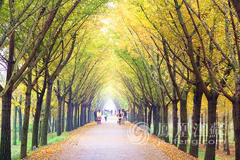 邳州市杜村人口_邳州市毛寺村(2)