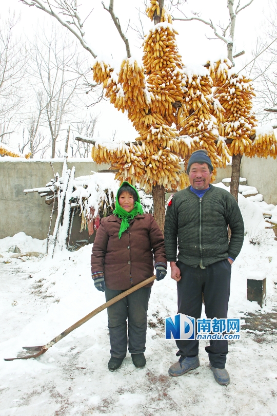 农村人口地可以养殖吗_地笋的叶子可以吃吗