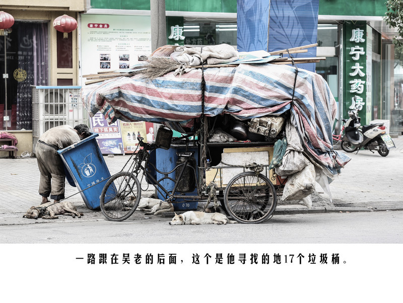 拾荒老人与流浪狗相依