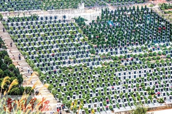 4月1日,广西首次公益花坛葬在南宁市青龙岗长安墓园举行,图为逝者亲属