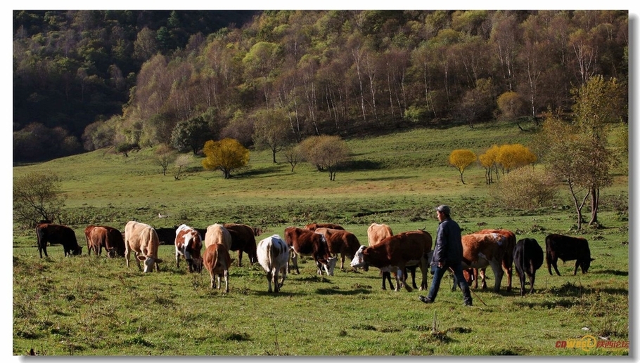 去宝鸡关山牧场纵马放歌 尽享草原魅力