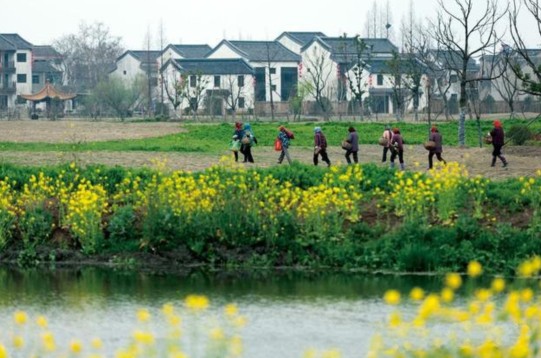 杨柳湖景区 南京人周末休闲度假好去处