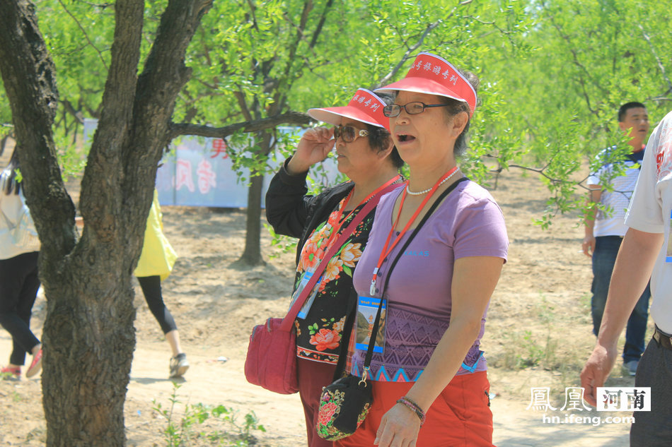 第三届灵宝高铁旅游专列活动开启 近千游客畅