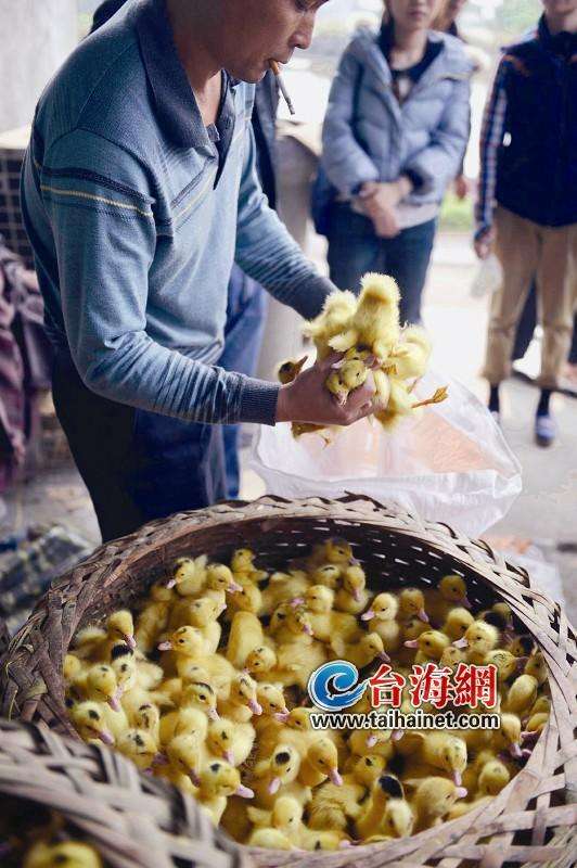 点击进入下一页 点击进入下一页