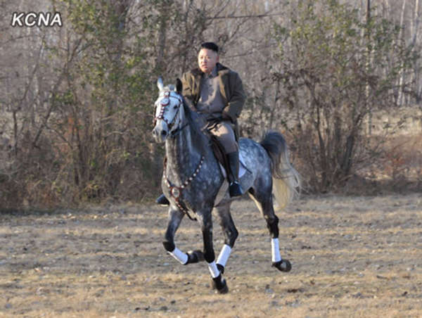 金正恩視察騎馬連 策馬揚(yáng)鞭演繹朝鮮style