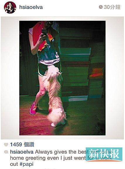 萧亚轩抱柯震东爱犬疑复合好友否认：不可能（图）