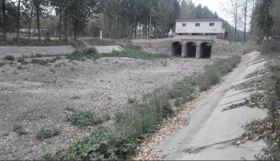 河南遭严重干旱 庄稼枯萎土地龟裂犹如世界末