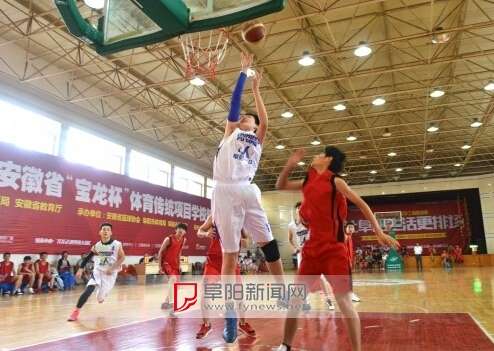 阜阳举办安徽省篮球传统项目学校、体育专项特