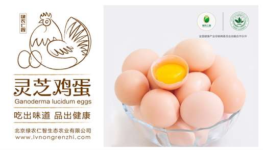 绿农仁智灵芝鸡蛋有什么不一样?