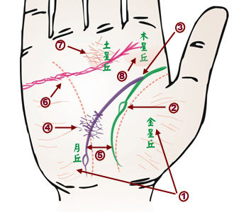 24种手相看身心健康 图 手相 生命线 凤凰时尚