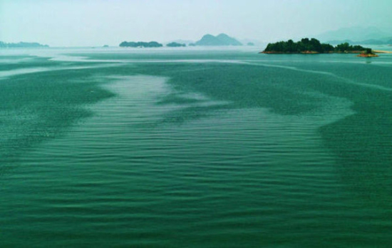 rdn_547576d8eb7f7.jpg